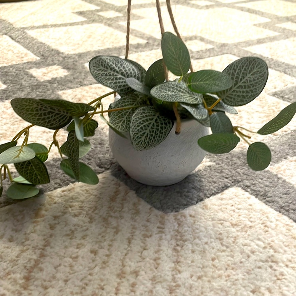 Hanging plant